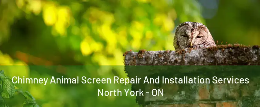 Chimney Animal Screen Repair And Installation Services North York - ON