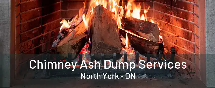 Chimney Ash Dump Services North York - ON