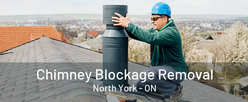 Chimney Blockage Removal North York - ON