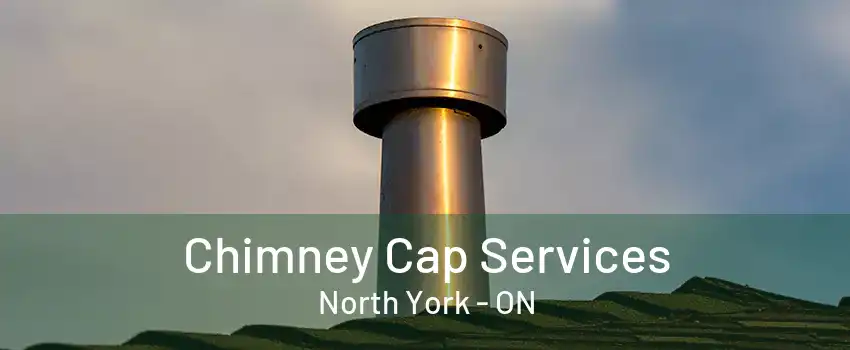 Chimney Cap Services North York - ON