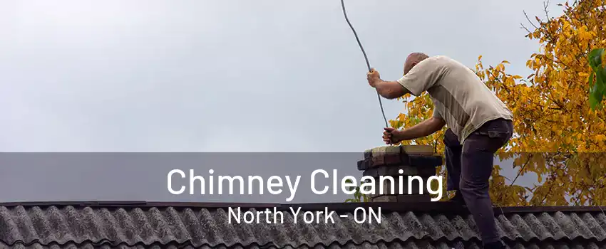 Chimney Cleaning North York - ON