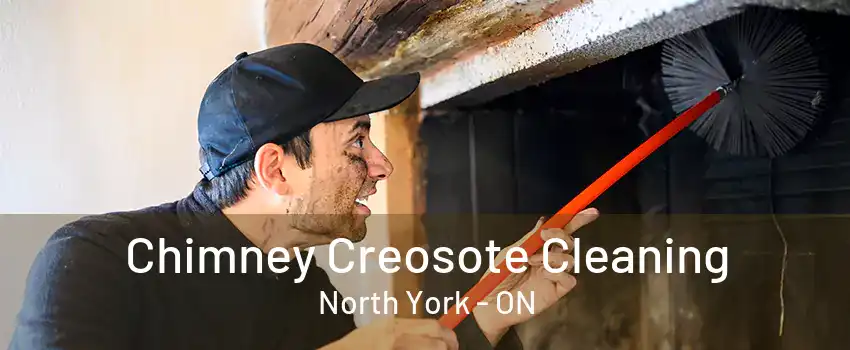 Chimney Creosote Cleaning North York - ON