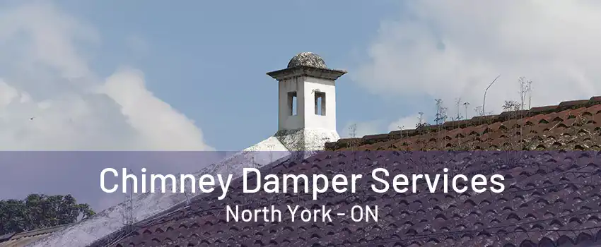 Chimney Damper Services North York - ON