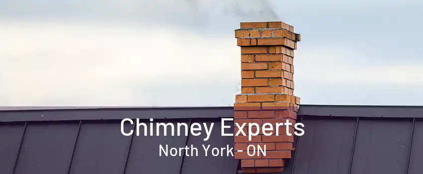 Chimney Experts North York - ON