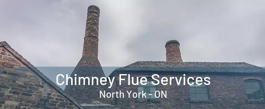 Chimney Flue Services North York - ON