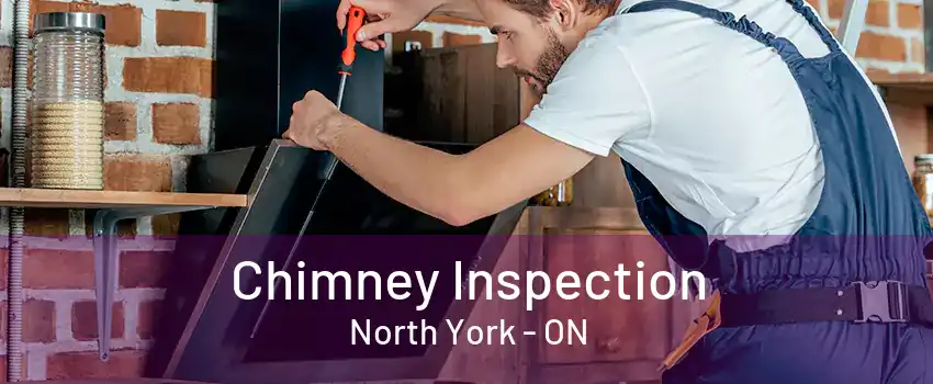 Chimney Inspection North York - ON