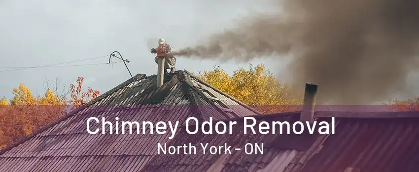 Chimney Odor Removal North York - ON