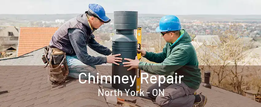 Chimney Repair North York - ON