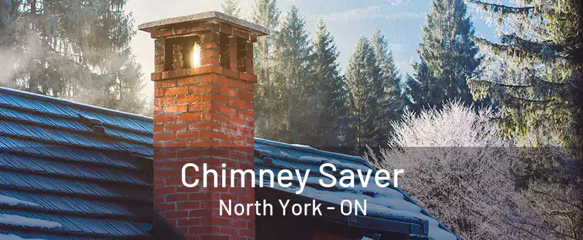 Chimney Saver North York - ON