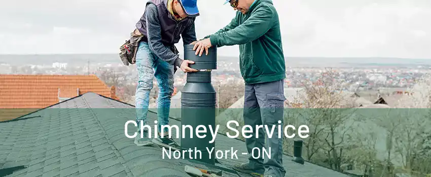 Chimney Service North York - ON