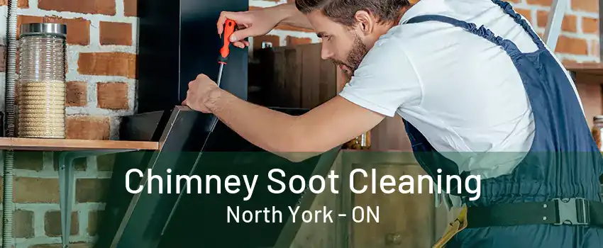 Chimney Soot Cleaning North York - ON