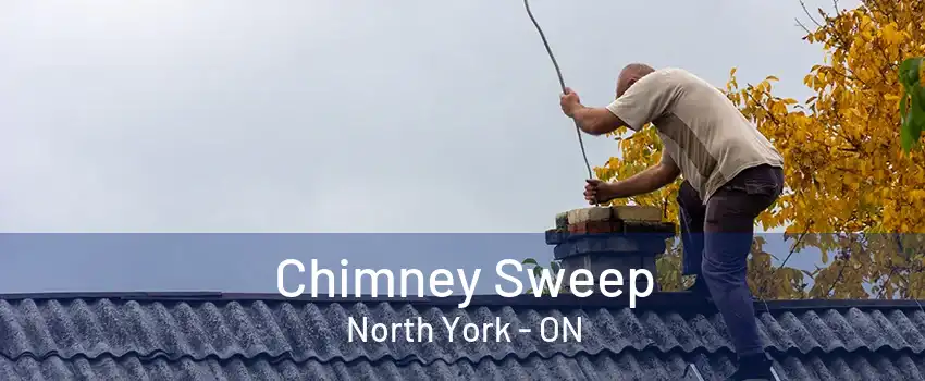 Chimney Sweep North York - ON