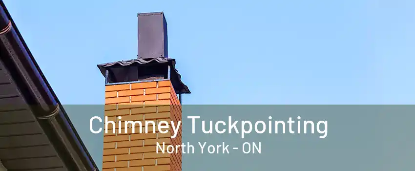 Chimney Tuckpointing North York - ON