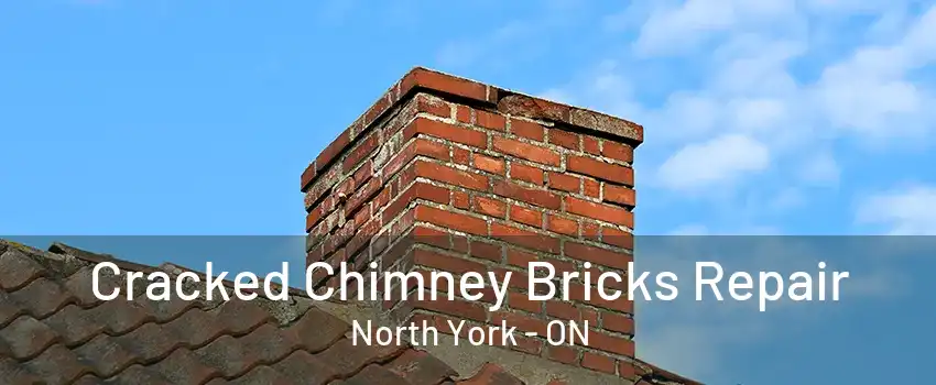 Cracked Chimney Bricks Repair North York - ON