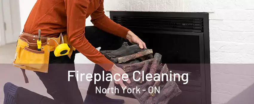 Fireplace Cleaning North York - ON