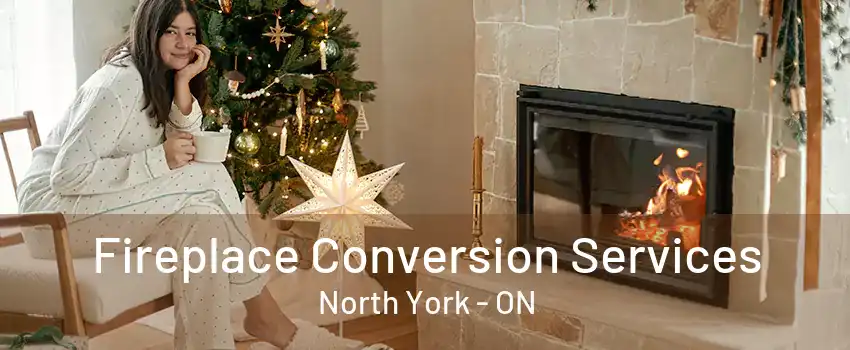 Fireplace Conversion Services North York - ON