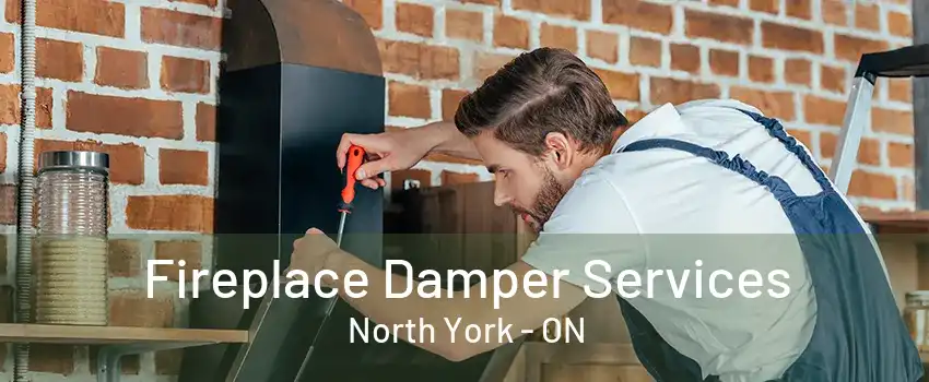 Fireplace Damper Services North York - ON