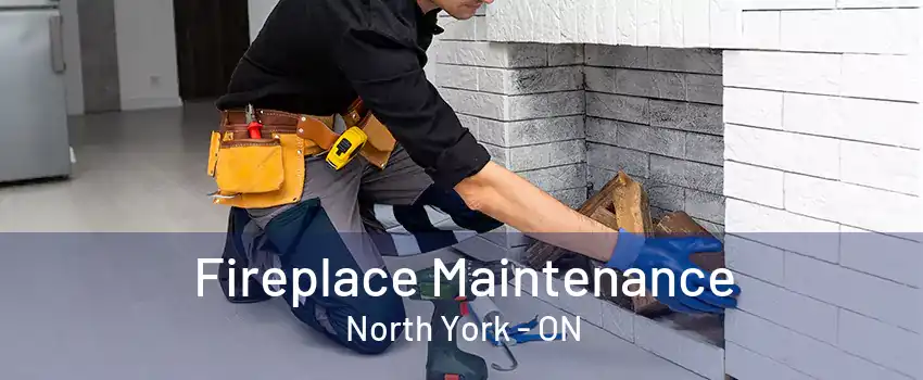 Fireplace Maintenance North York - ON