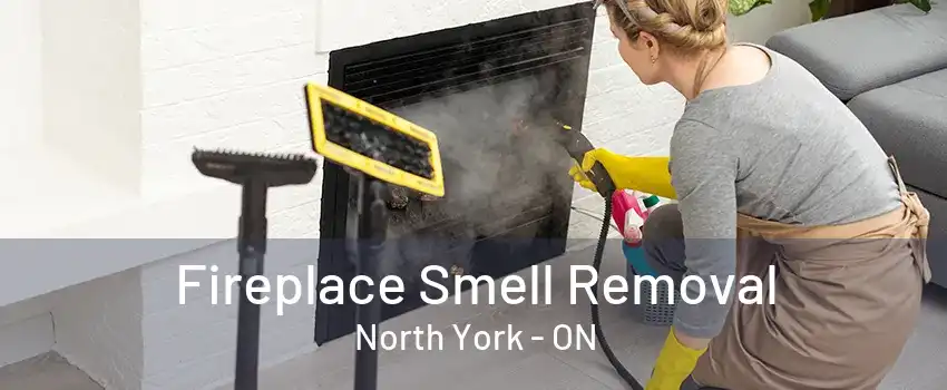 Fireplace Smell Removal North York - ON