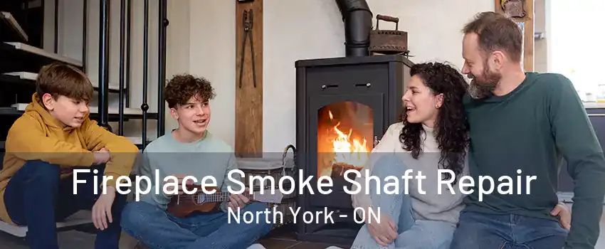 Fireplace Smoke Shaft Repair North York - ON