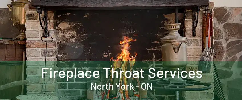 Fireplace Throat Services North York - ON