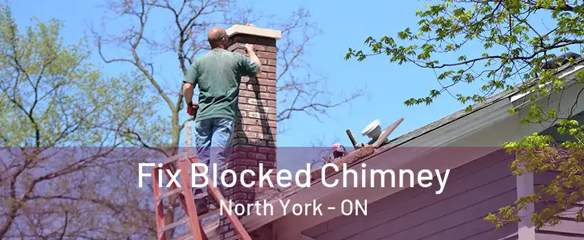 Fix Blocked Chimney North York - ON