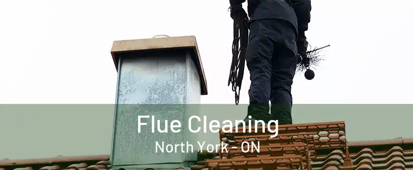 Flue Cleaning North York - ON