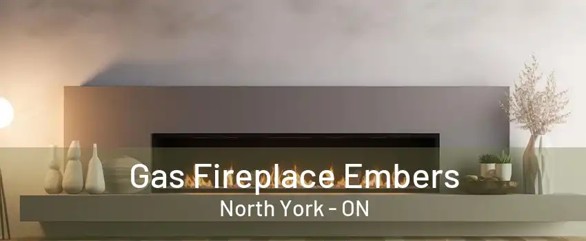 Gas Fireplace Embers North York - ON