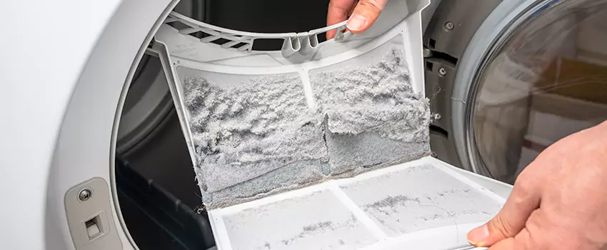 Best Dryer Lint Removal Company in North York, Ontario