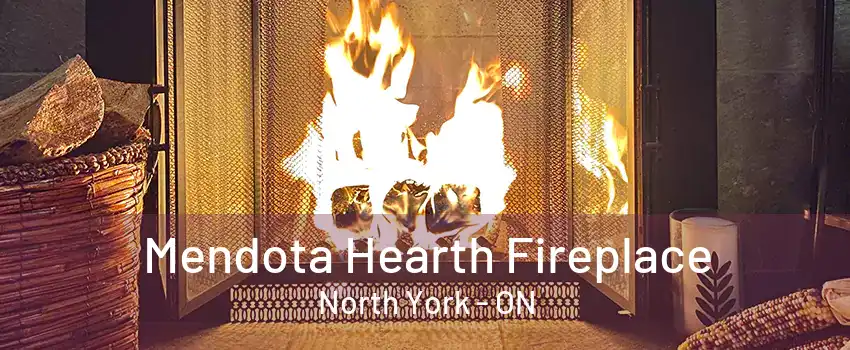 Mendota Hearth Fireplace North York - ON