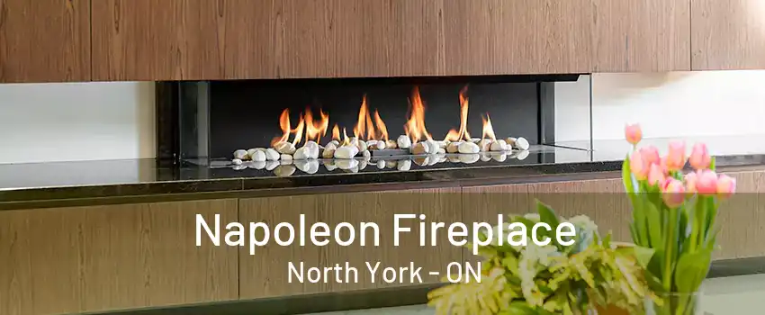 Napoleon Fireplace North York - ON