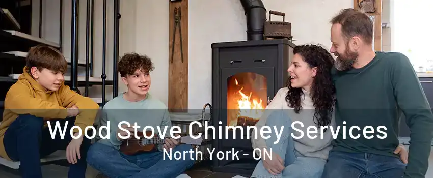 Wood Stove Chimney Services North York - ON